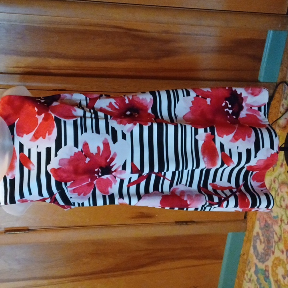 ALYX Sleeveless Floral & Striped Sheath Dress Size 12